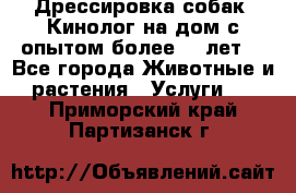 Дрессировка собак (Кинолог на дом с опытом более 10 лет) - Все города Животные и растения » Услуги   . Приморский край,Партизанск г.